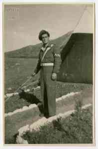 Φίφας, αλφαμίτης στη ΣΦΑ