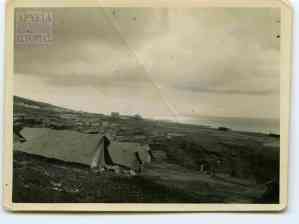 N.M.11.04.003