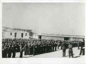 N.M.11.20.003