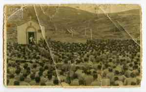 N.M.15.124.004